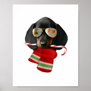 Dachshund shirt Cute Christmas Gift Dog Lovers Sun Poster