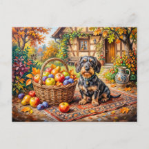 Dachshund Sitting Beside Fruit Basket Autumn Farmh