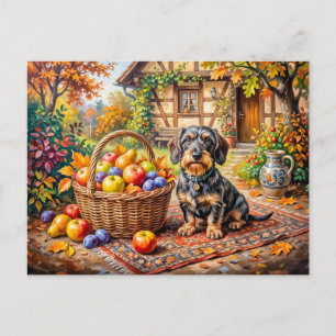 Dachshund Sitting Beside Fruit Basket Autumn Farmh Postcard
