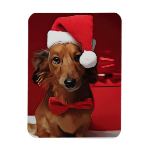 Dachshund Sitting In Front Of A Christmas Gift Pos Magnet
