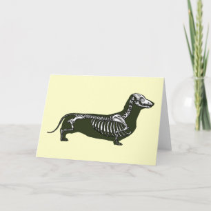 dachshund skeleton card