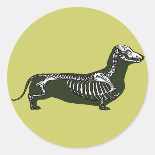 dachshund skeleton classic round sticker (Front)