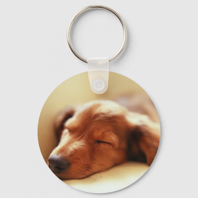 Dachshund sleeping key ring (Front)