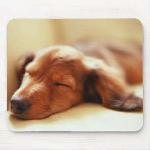 Dachshund sleeping mouse pad