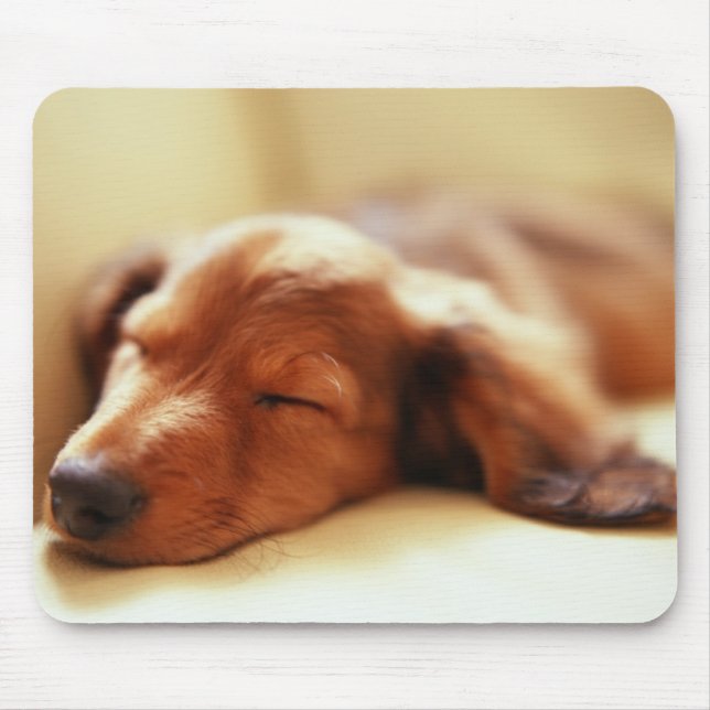Dachshund sleeping mouse pad (Front)
