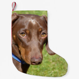 Dachshund Small Christmas Stocking