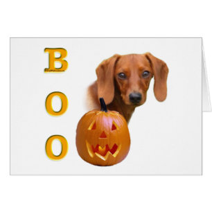 Dachshund (smooth) Boo
