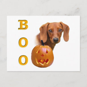 Dachshund (smooth) Boo Postcard