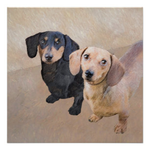 Dachshund (Smooth) Painting - Original Dog Art Poster
