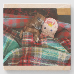 Dachshund Stone Coaster