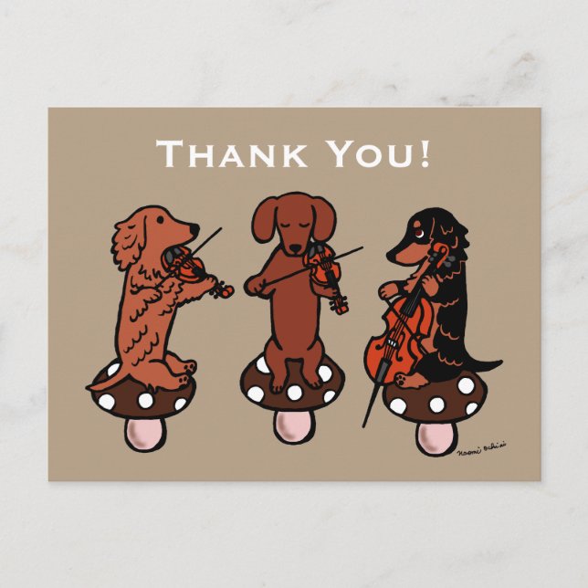 Dachshund String Trio Musicians Thank You Postcard (Front)