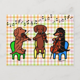 Dachshund String Trio Postcard