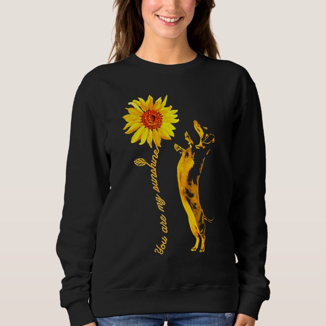 Dachshund Sunshine Funny For Man Woman Sweatshirt (Front)