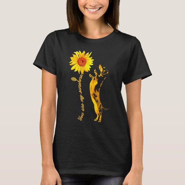 Dachshund Sunshine Funny For Man Woman T-Shirt (Front)