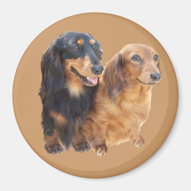 Dachshund Sweeties Magnet (Front)