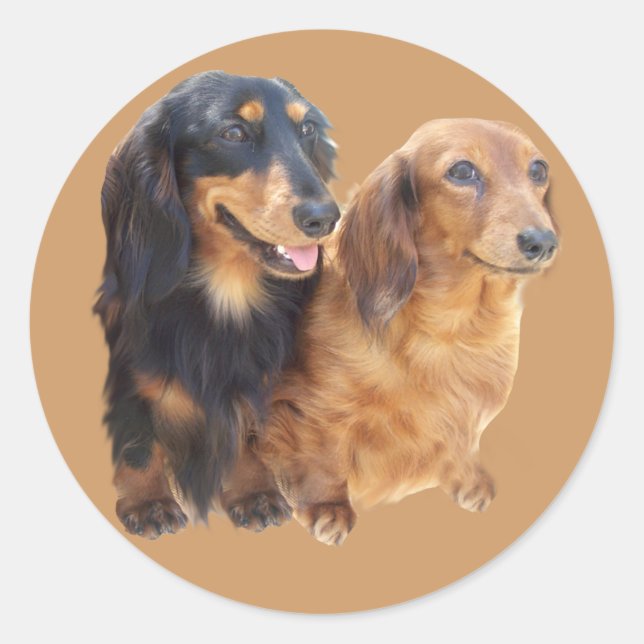 Dachshund Sweeties Sticker (Front)