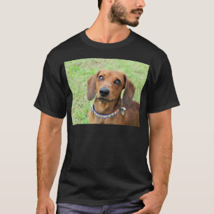 Dachshund T-Shirt