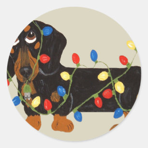 Dachshund Tangled In Christmas Lights Blk/Tan Classic Round Sticker