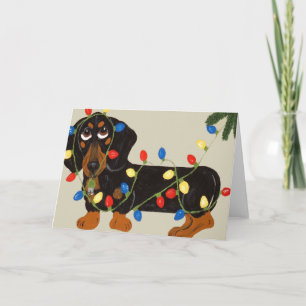 Dachshund Tangled In Christmas Lights Blk/Tan Holiday Card