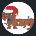 Dachshund Tangled In Christmas Lights (Red) Classic Round Sticker<br><div class="desc">This Dachshund Is Determined To Help Decorate The Christmas Tree!!  Getting Tangled In The Lights Is Just A Temporary Glitch!</div>