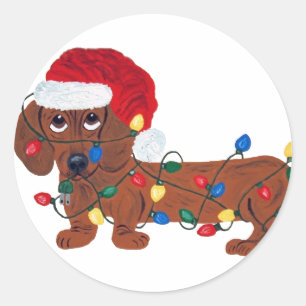 Dachshund Tangled In Christmas Lights (Red) Classic Round Sticker