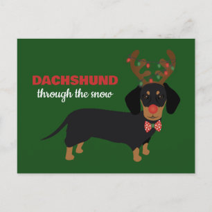 Dachshund Through Snow Cute Doxie Reindeer Dog Postcard
