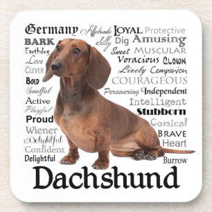 Dachshund Traits Coasters