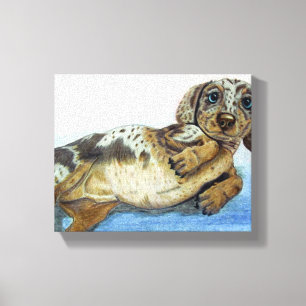 Dachshund Tummy Canvas Print