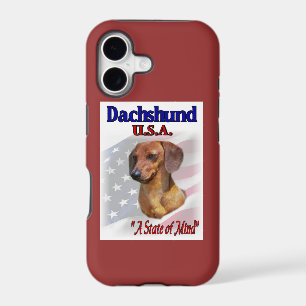 Dachshund USA