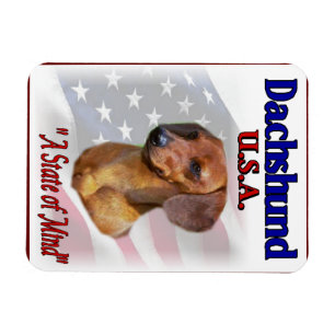 Dachshund USA Magnet