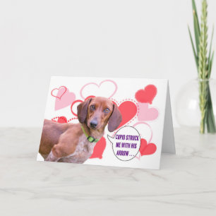 Dachshund Valentine's Day Card