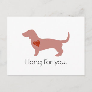 Dachshund Valentine's Day Holiday Postcard