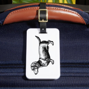 Dachshund Vintage Engraving Illustration Luggage Tag