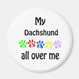 Dachshund Walks Design Magnet