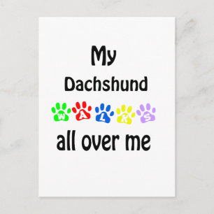 Dachshund Walks Design Postcard