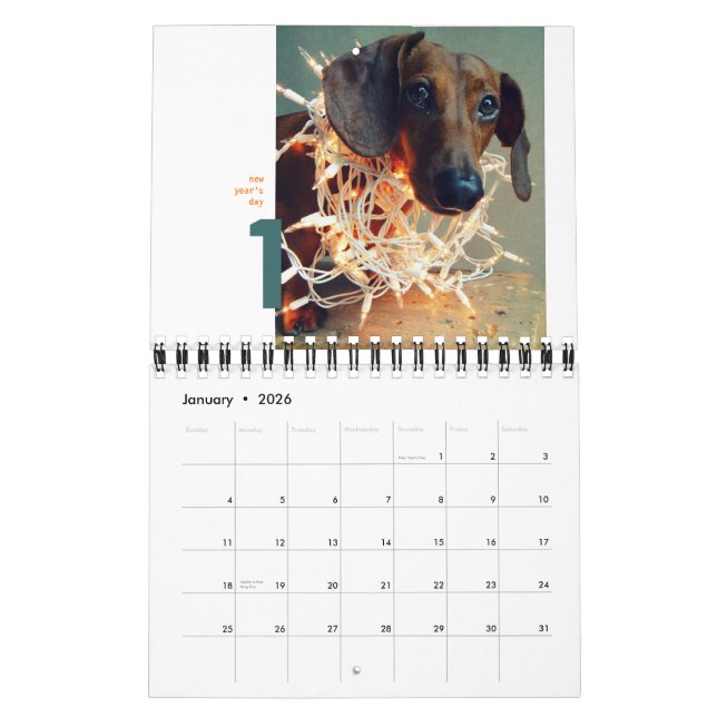 dachshund wall calendar 2012 - tiny chumley (Jan 2026)