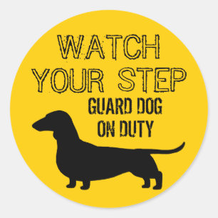 Dachshund Watch Your Step Funny Design Classic Round Sticker