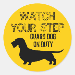 Dachshund Watch Your Step (Wire Haired Doxie) Classic Round Sticker