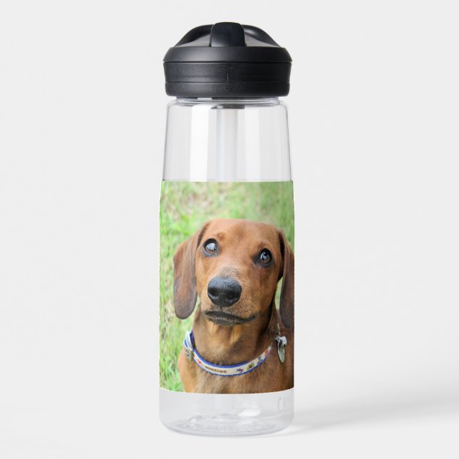Dachshund  water bottle (Front)