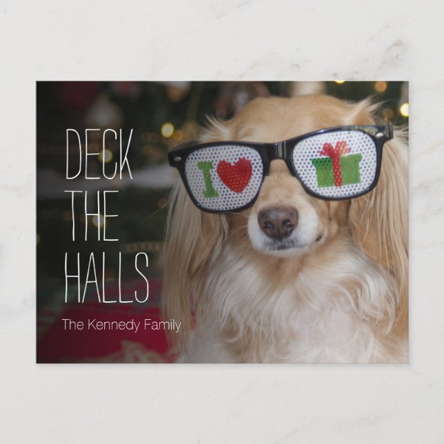 Dachshund wearing 'I love presents' Postcard (Front)