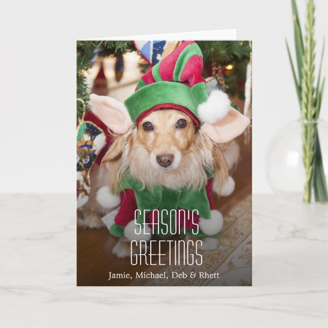Dachshund wearing santa elf costume holiday card (Front)