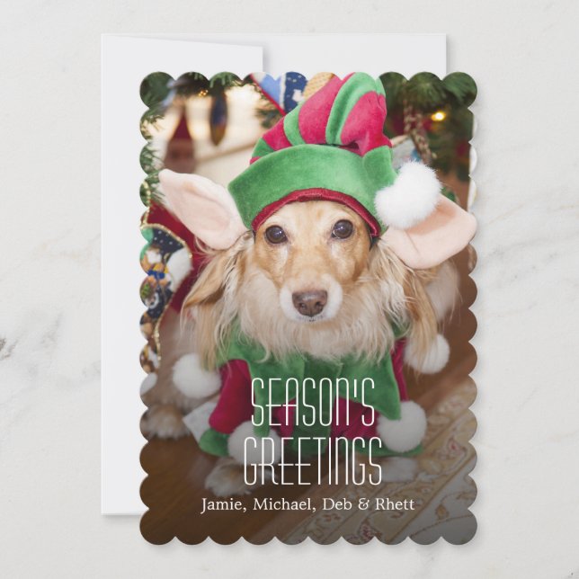 Dachshund wearing santa elf costume holiday card (Front)