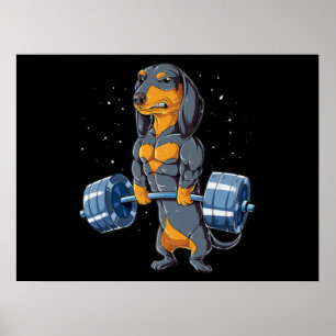Dachshund Weightlifting Fitness Gym Poster