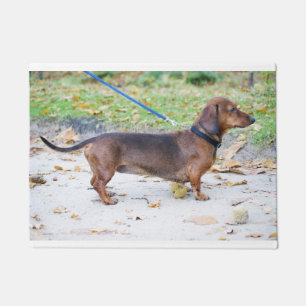 dachshund-wild boar full doormat