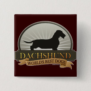 Dachshund [Wire-haired] 15 Cm Square Badge
