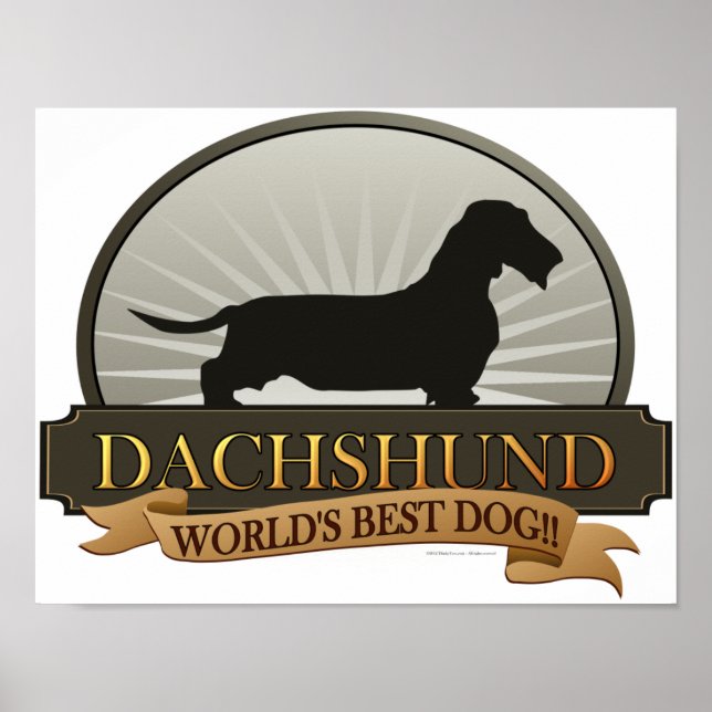 Dachshund [Wire-haired] Poster (Front)