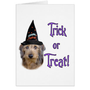 Dachshund (wire) Trick