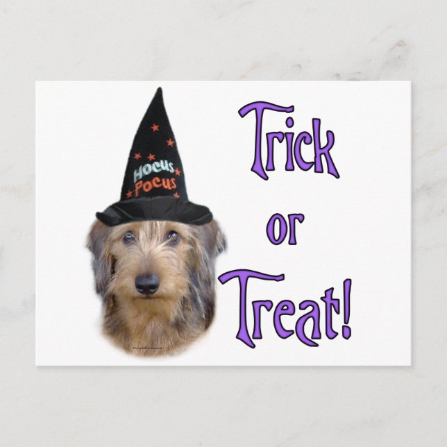 Dachshund (wire) Trick Postcard (Front)