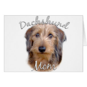 Dachshund (wirehaired) Mum 2