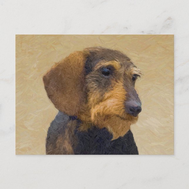 Dachshund (Wirehaired) Painting Original Dog Art Postcard (Front)
